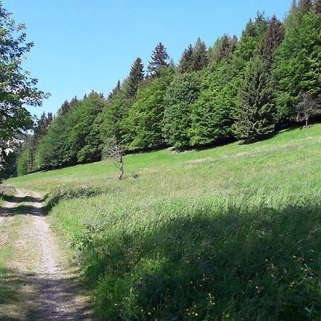 Ferienhaus Moosbachtal Thueringer Wald Bei Oberhof Rotterode Buitenkant foto