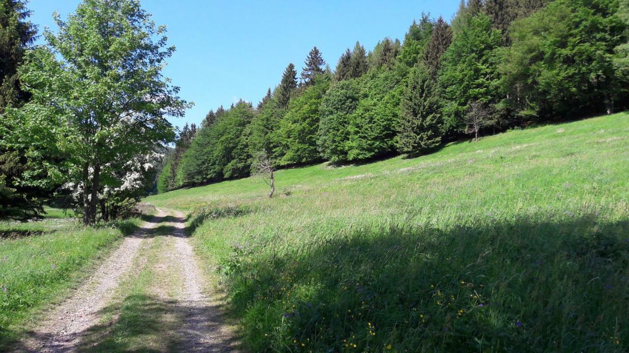 Ferienhaus Moosbachtal Thueringer Wald Bei Oberhof Rotterode Buitenkant foto