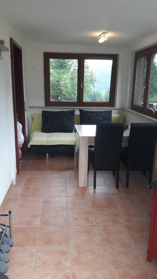 Ferienhaus Moosbachtal Thueringer Wald Bei Oberhof Rotterode Buitenkant foto